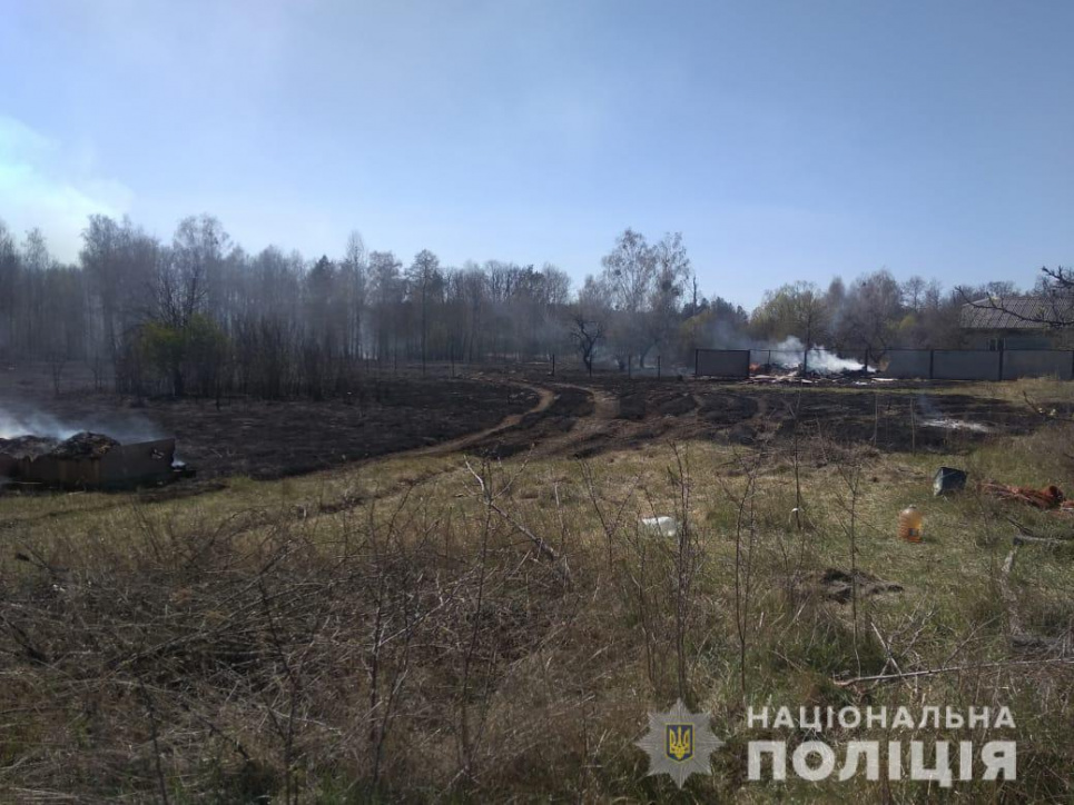 Палієві на Київщині загрожує до 5 років позбавлення волі за підпал лісу Фото: Нацполіція