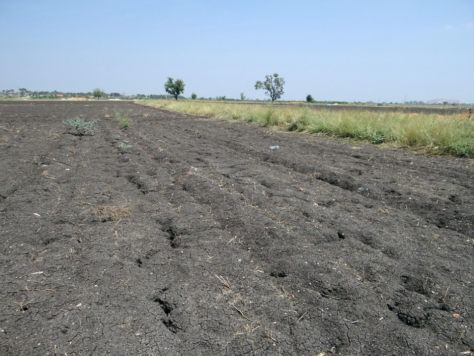 Катастрофа поруч: в Україні пилові бурі руйнують ґрунт pixabay