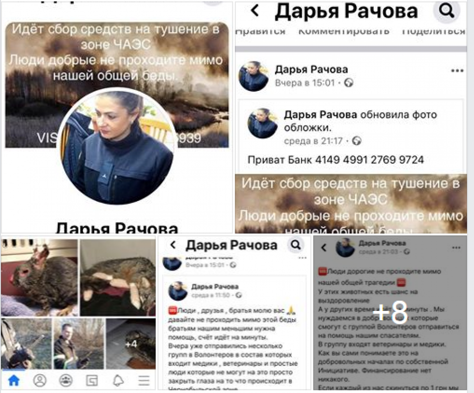 Волонтери-самозванці збирають гроші «на допомогу тваринам». Як не стати їхніми жертвами