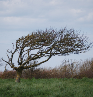 Штормове попередження в Україні: вітер та заморозки до -3° (6-9 квітня 2026)