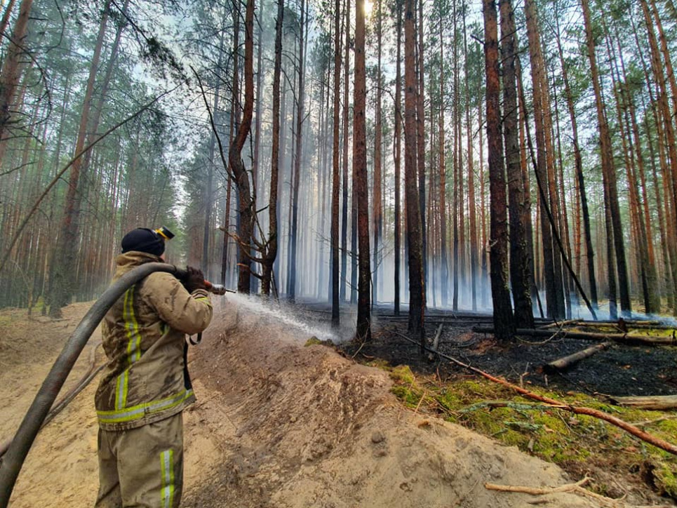 У Житомирській зоні всі пожежі локалізовані, у Чорнобильській - лишилися осередки тління Фото: Facebook ДСНС