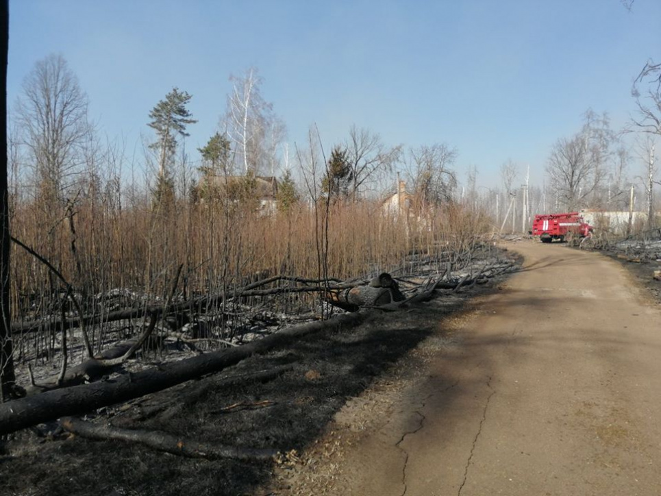 Облік природних пожеж в Україні не ведеться фото ДСНС