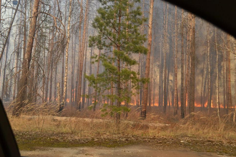 Лісових пожежників не фінансують вже 5 років фото ДСНС