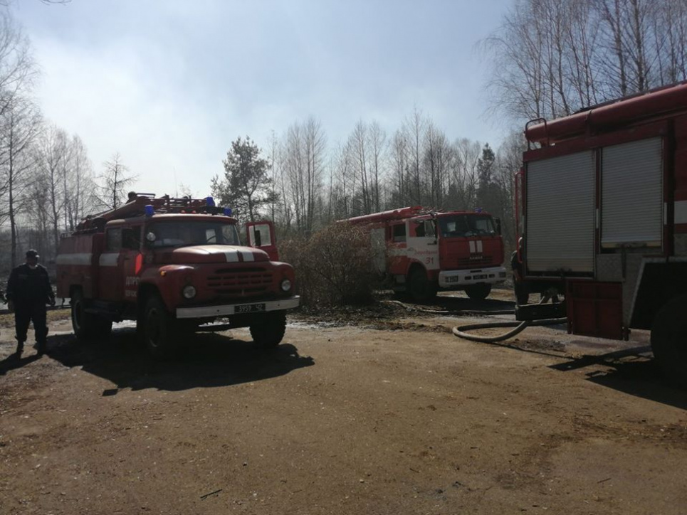 Система охорони від пожеж існує тільки у 72% лісів - REEFMC фото ДСНС