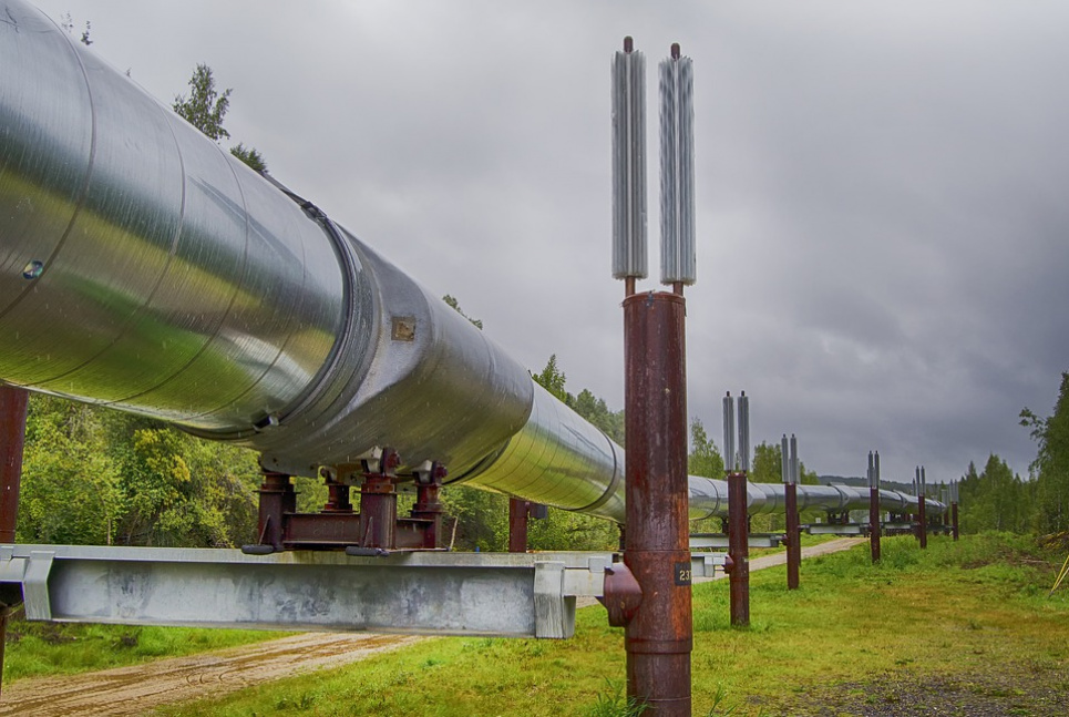 Американські приватні компанії почали складувати нафту в стратегічному резерві США pixabay