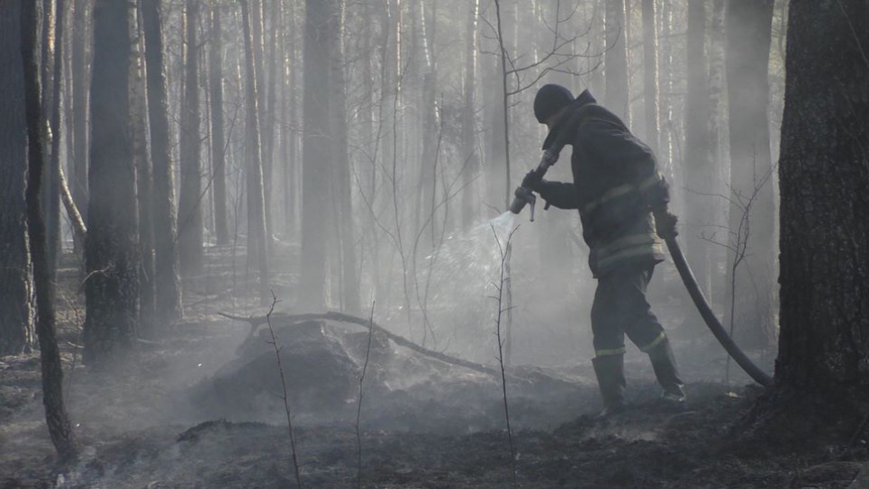 Уряд виділив кошти на житло для потерпілих від пожежі на Житомирщині