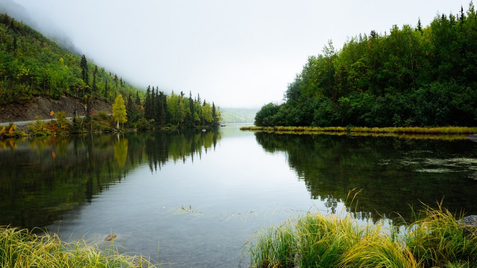 Українці можуть залишитись і без води, і без риби pixabay