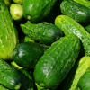 Тепличные огурцы подорожали на 20% за неделю