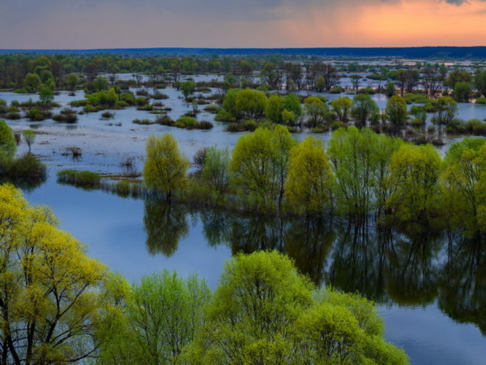 Рівень води у Десні впав до рекордного за 140 років мінімуму