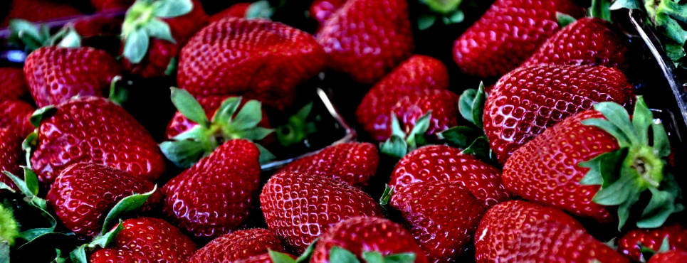 Фото: Jenő Szabó / Pixabay 