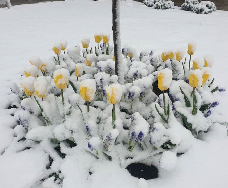 Європу завалило снігом: циклон рухається до України (фото)