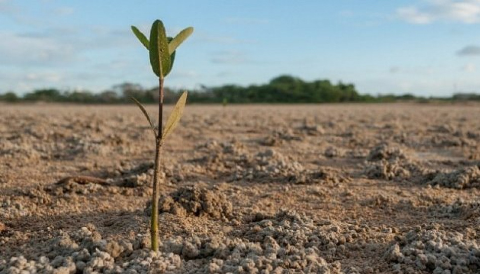 Україна втратила 450 млрд гривень