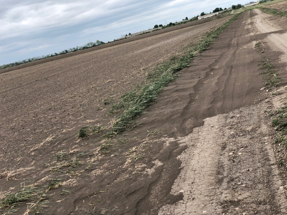 Пилова буря знищила 10% бурякових полів на Тернопільщини Фото ПАП "Дзвін"