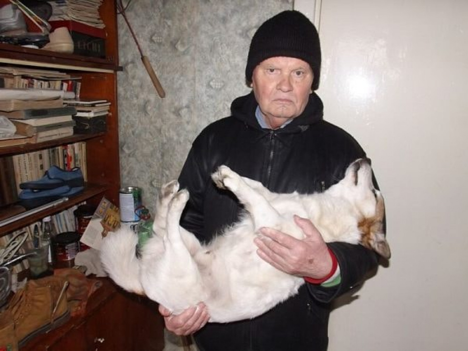 Убив собаку? П’ять років в’язниці!