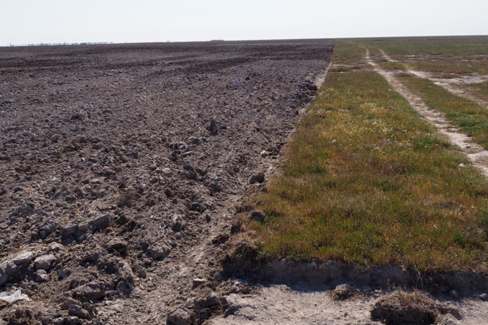 Фото з Facebook-сторінки Української Природоохоронної групи