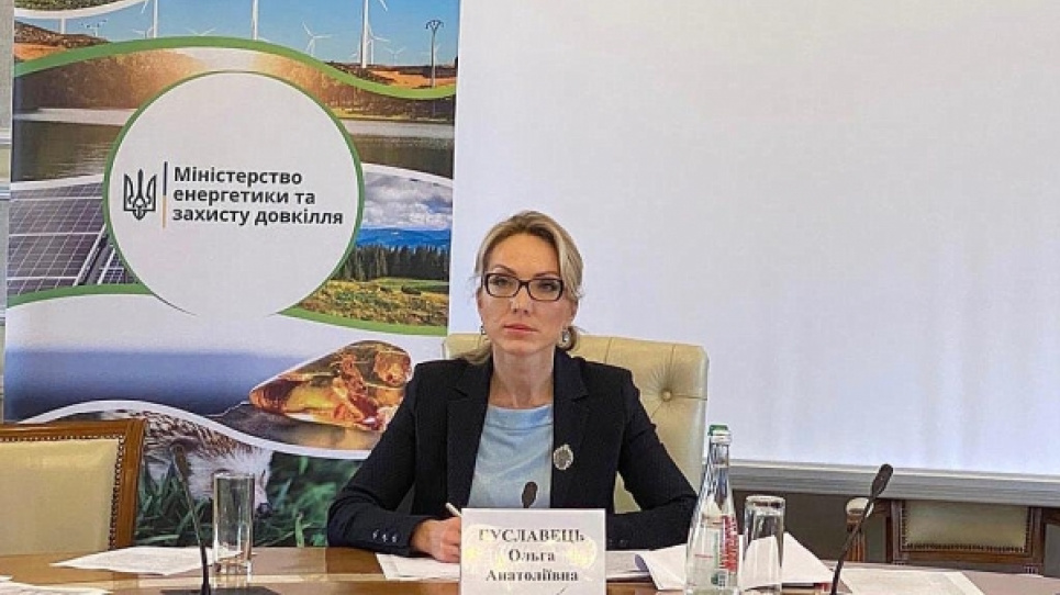 Буславець: Перемовини з інвесторами щодо ВДЕ завершено