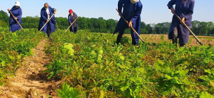 Фото: Facebook Держлісагентства