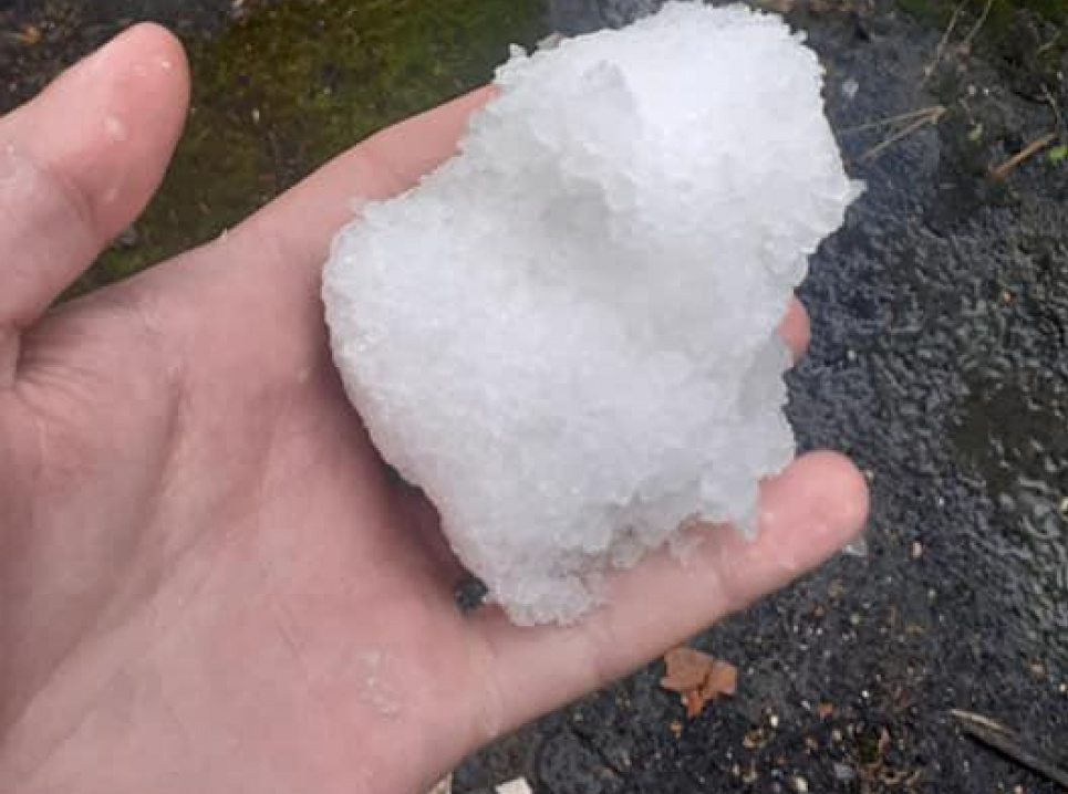 На Полтавщині сьогодні випав сніг (фото, відео) Фото і відео Вадима Кирпиченка