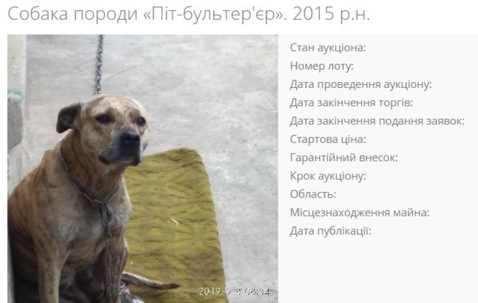Собаку продали за борги на аукціоні