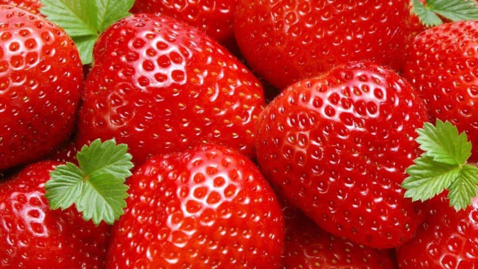 Полуниця: користь і небезпека ягоди