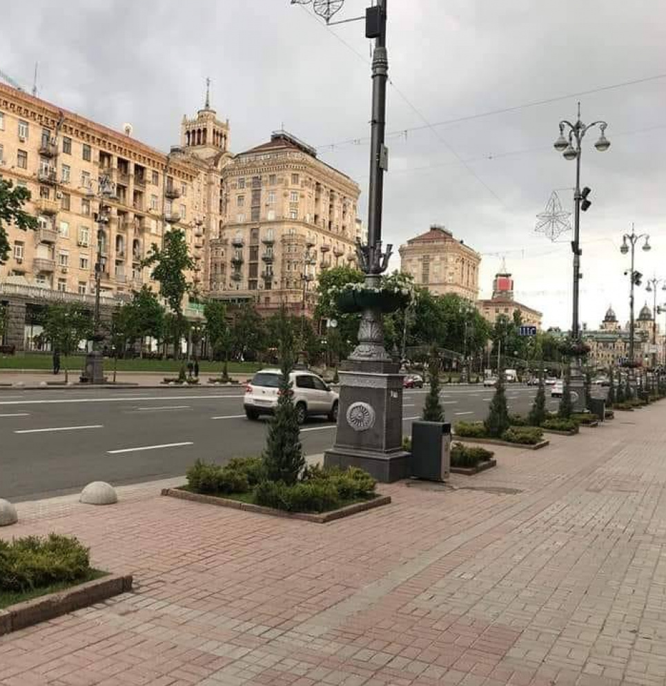 «Не робити з ялівцю слона» - скандал із туями на Хрещатику триває