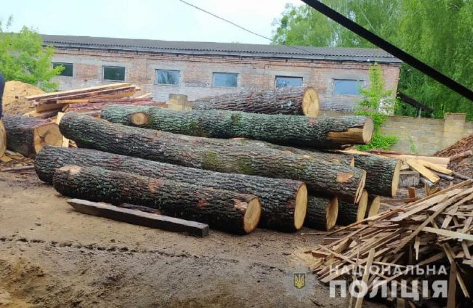 На Волині обшукали 24 будинки імовірних крадіїв лісу МВС України