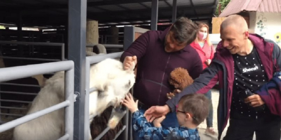 Ексголова Офісу Зеленського відповідатиме у суді за козла скріншот з відео