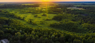 Українське Полісся. Фото з сайту https://savepolesia.org/(© Daniel Rosengren / FZS)