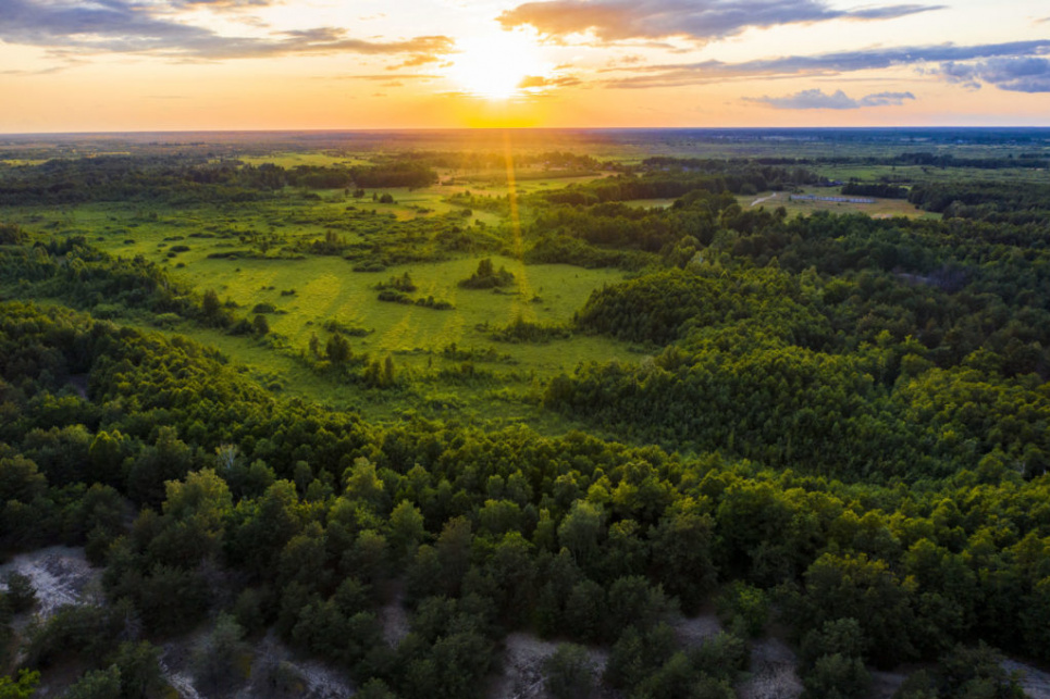 Українське Полісся. Фото з сайту https://savepolesia.org/(© Daniel Rosengren / FZS)