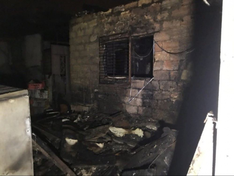 Одеські рятувальники вберегли від пожежі 350 собак і 40 котів