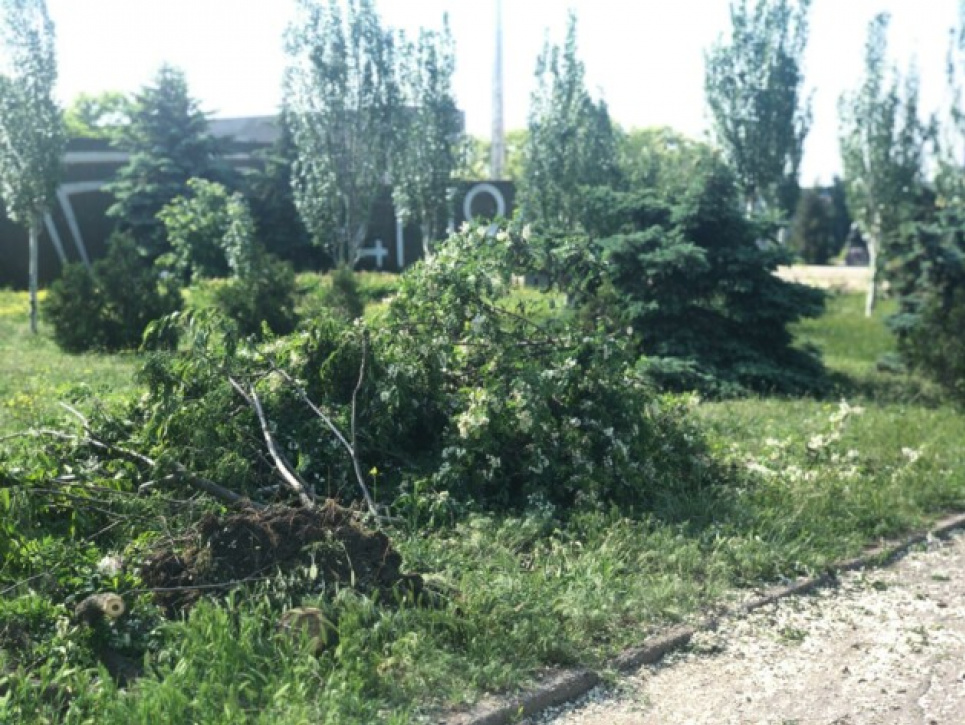 Торнадо, повалені дерева та пробиті дахи будинків: смерч та ураган на Запоріжжі (відео)