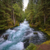 Image by Hardebeck Media from Pixabay 