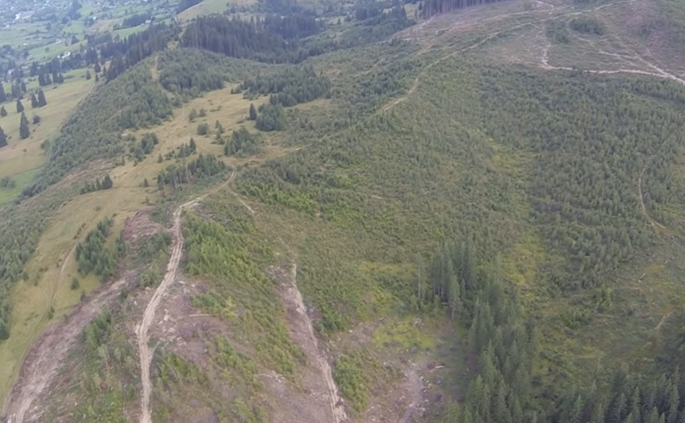 Ухвалений ВРУ «Закон про інвентаризацію лісів» потрібний, але недосконалий - експерти Результати суцільрних рубок в Карпатах. Фото Валерія Ловчиновського