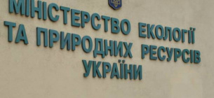 Каждая следующая декларация кандидата на должность министра окружающей среды «богаче» предыдущей