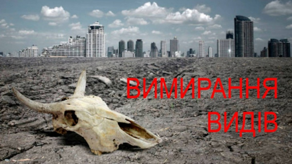 Катастрофа: через людей почалося останнє шосте вимирання видів
