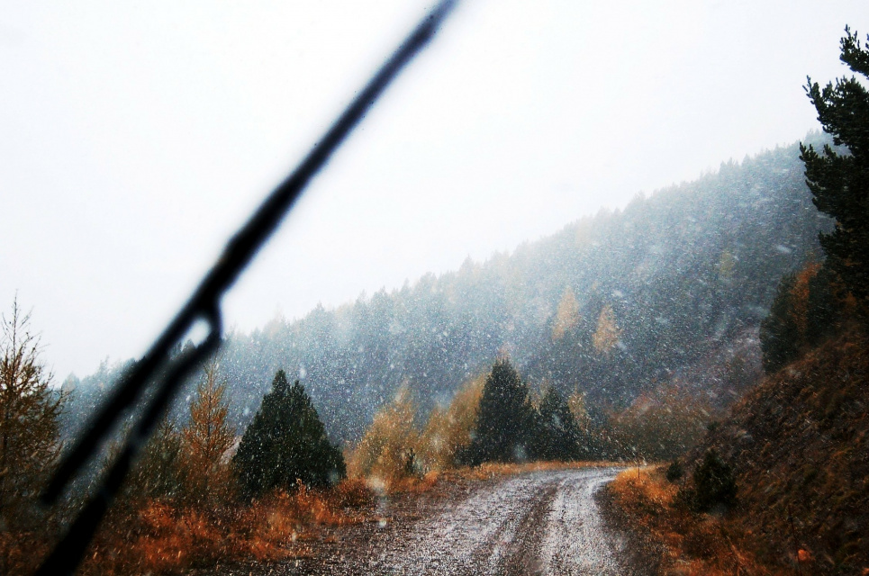 В Україні сьогодні буде дощ і сніг Image by makunin from Pixabay