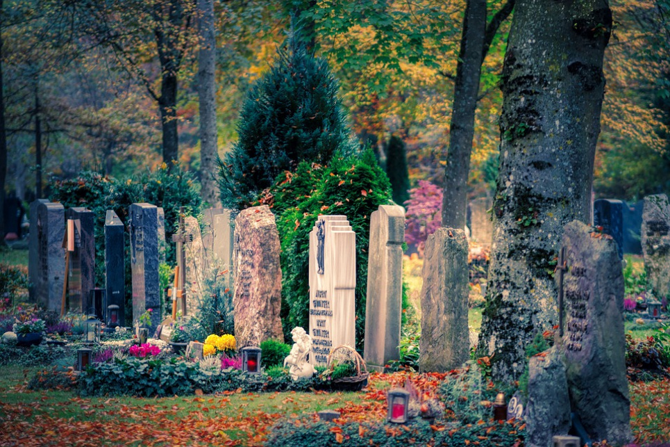 Панотець у подарунок на день народження попросив прибрати пластик з могил pixabay