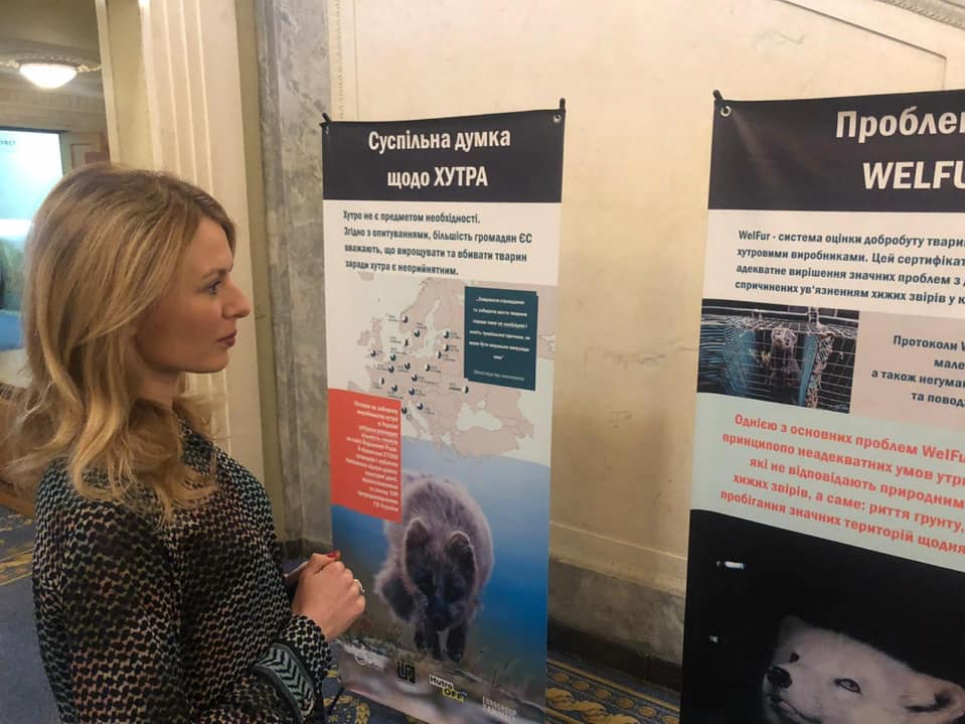 Нардепам запропонували подивитися в очі тварин з хутроферм Фото: МФО "Гуманна країна"