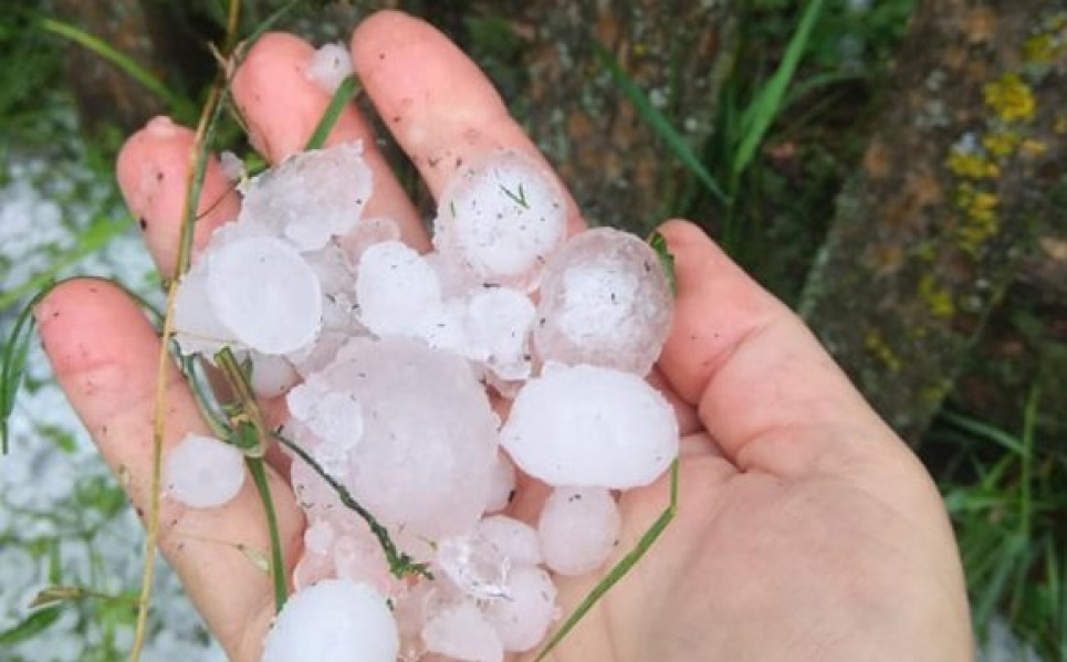 Град наробив біди: люди показали світлини знищеного врожаю (фото)