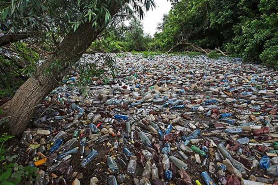 Через бурю в річку Тиса потрапили тонни сміття (відео)