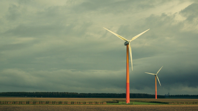 Фото: Daria Nepriakhina from Pixabay 