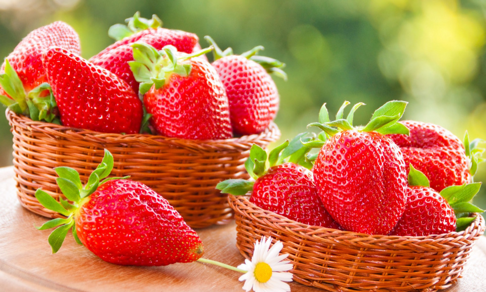 Гайда купувати, бо ціна на полуницю впала у два рази