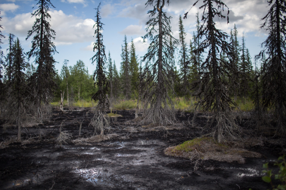 Країна-бензоколонка забруднює нафтою усе навколо Фото з сайту Greenpeace-Росія