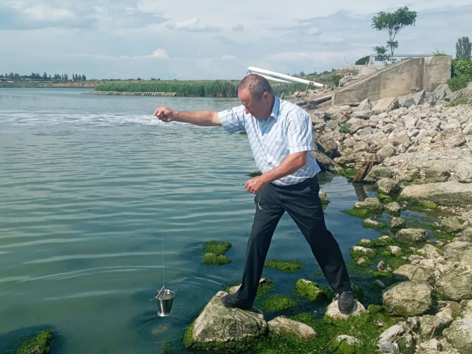 Замор креветки на Хаджибейському лимані стався внаслідок забруднення води Фото: facebook Андрія Мальованого