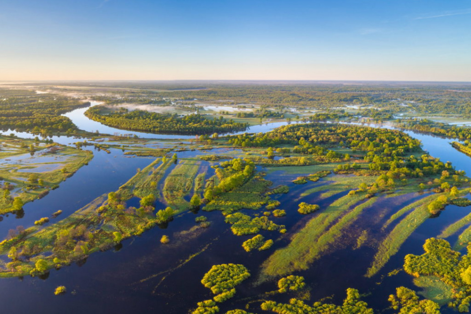 Річку Прип’ять чіпати не можна - радіація усе ще лежить на дні Панорама Полісся з висоти пташиного польоту. Після знищення русла тутешніх річок вона вже не буде такою романтичною. Фото з сайту savepolesia.org/(© Daniel Rosengren / FZS)