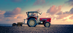 Підтримка фермерських господарств
Pixabay 