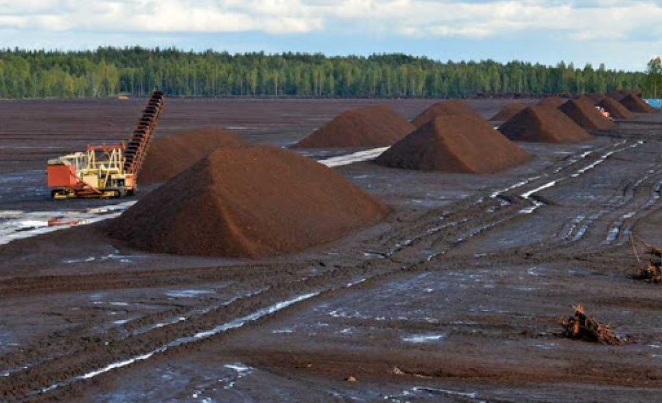Через осушення торфовищ ґрунти залишаються без води та спалахують пожежі  Фото agro-business.com.ua