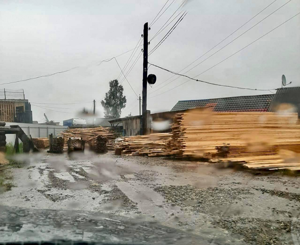 На Буковині продовжують рубати ліс Фото чернівецької прокуратури