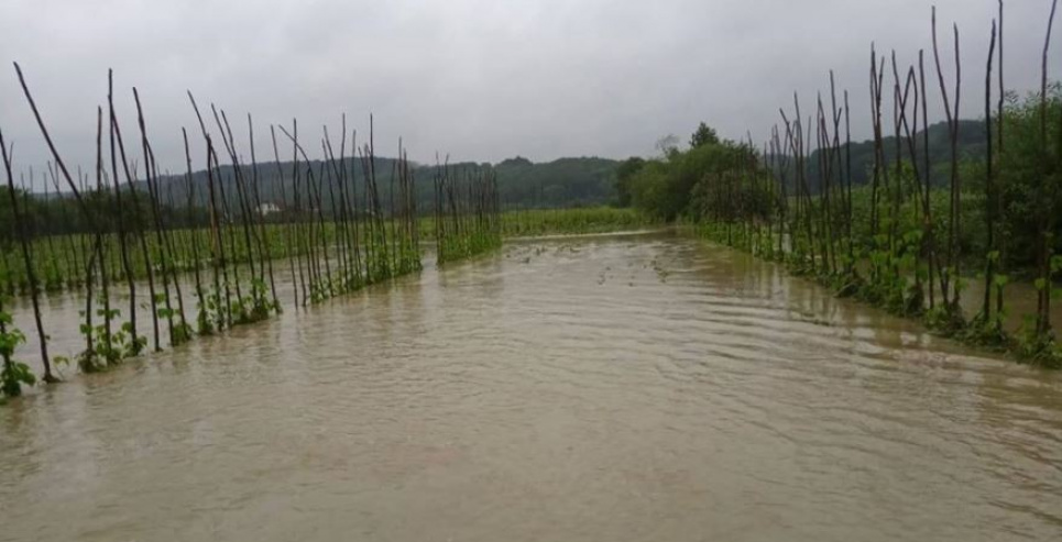 Паводки на Західній Україні вплинуть на врожай Фото: Kurkul.com