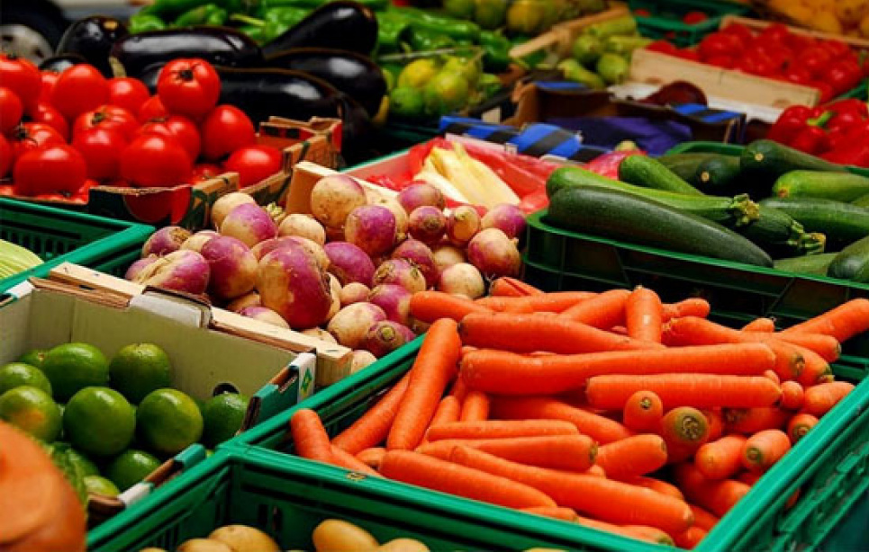 На Дніпровщині фермерам допоможуть продавати продукцію онлайн